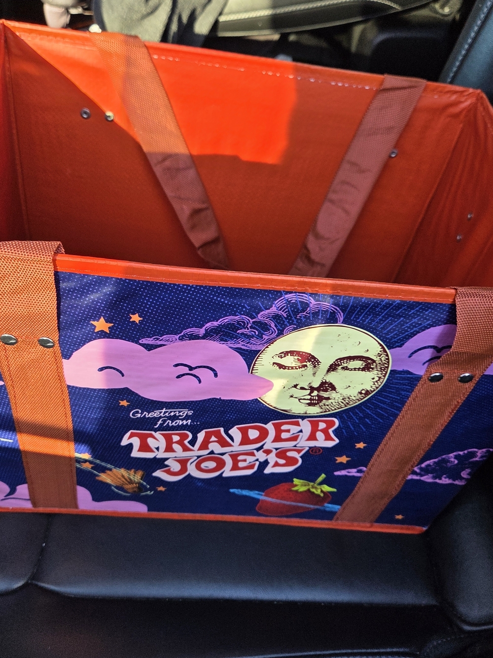 Trader Joes Stand up Collapsible Grocery Bag